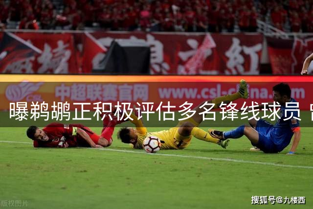 曝鹈鹕正积极评估多名锋线球员 曾有意琼斯和塞布尔