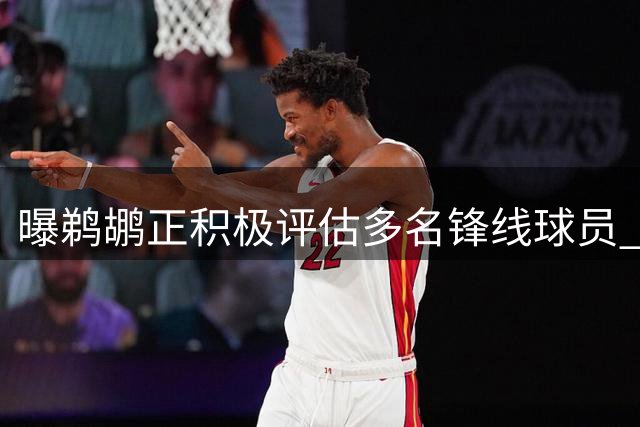 曝鹈鹕正积极评估多名锋线球员 曾有意琼斯和塞布尔